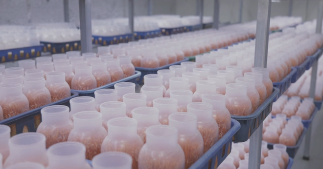 Bioara Smart Farm Facility